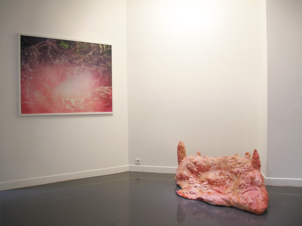 La tradition du dégoût, présentée par Vincent Labaume